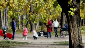 Одесса. Парк Победы