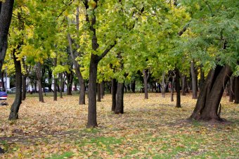 Одесса. Парк Победы