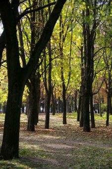 Одесса. Парк Победы