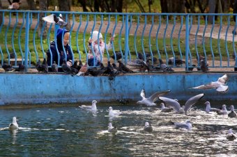 Одесса. Парк Победы