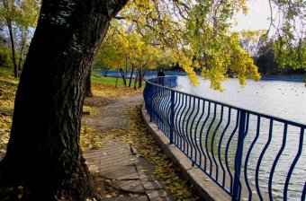 Одесса. Парк Победы