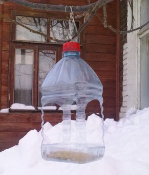 Одесский зоопарк объявил конкурс кормушек для птиц