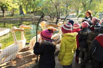 Одесские школьники на экологических экскурсиях. С кем познакомились? (фото)