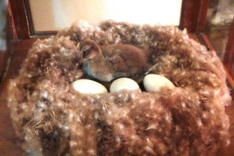 Одесские школьники на экологических экскурсиях. С кем познакомились? (фото)