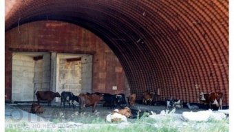 Будет ли новая жизнь у разворованного военного аэродрома «Буялык-Благоево»?