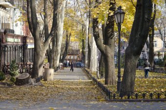 Осень в Городском саду