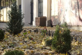 Осень в Городском саду