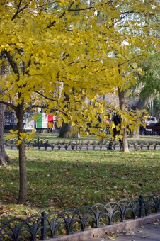 Осень в Городском саду