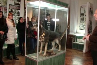 Одесскому народному музею милиции – 35! (фото)