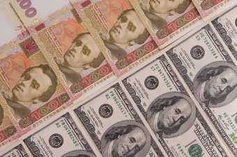 Эксперт: Гривна до нового года может упасть ниже 20 за доллар