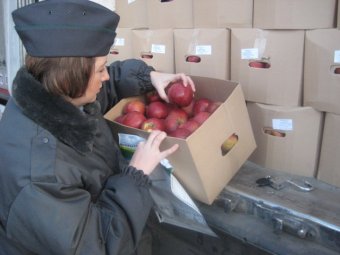 Глава Профсоюза экспедиторов: «Карантинные сертификаты на товар выдают по завышенной стоимости»