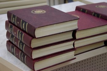 11 ноября - годовщина окончания Первой мировой войны