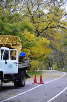 Одесские власти отчитываются о лечении «легких» города