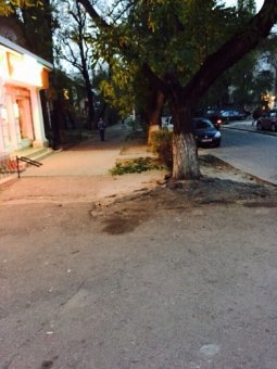 В Одессе продолжается борьба со стихийной торговлей (фото)