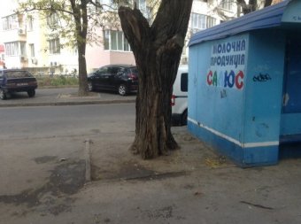 В Одессе продолжается борьба со стихийной торговлей (фото)