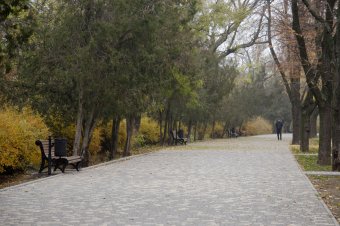 Утро в осеннем парке
