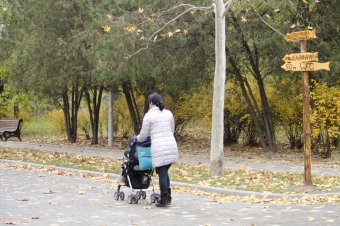Утро в осеннем парке