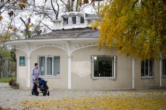 Утро в осеннем парке