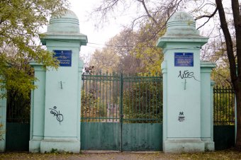Утро в осеннем парке