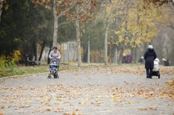 Утро в осеннем парке