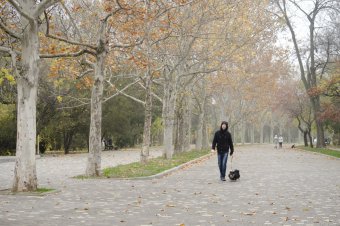 Утро в осеннем парке