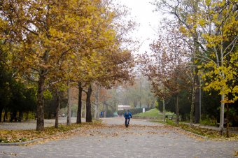 Утро в осеннем парке