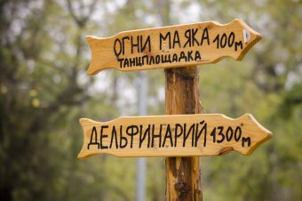 Утро в осеннем парке