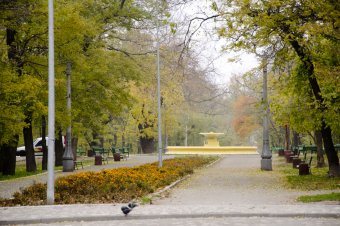 Утро в осеннем парке