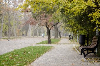 Утро в осеннем парке