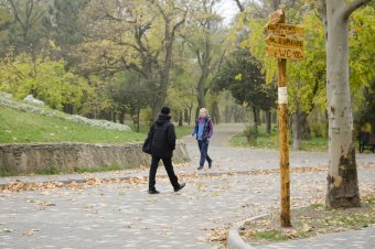 Утро в осеннем парке