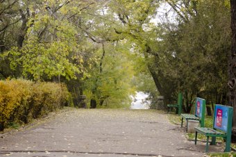 Утро в осеннем парке