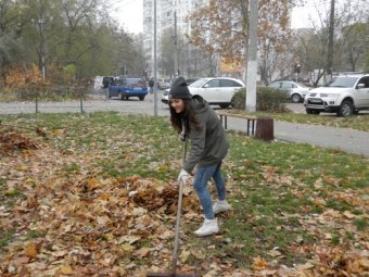 В парках Приморского района Одессы прошел субботник (фото)