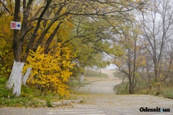 Трасса здоровья для любителей активного отдыха (фото)
