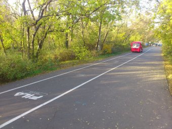 Трасса здоровья для любителей активного отдыха (фото)