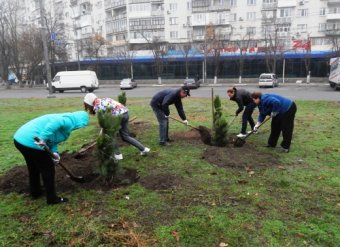 Как прошел субботник по благоустройству площади Деревянко (фото)