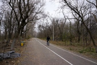 Вдоль Трассы здоровья восстанавливают пешеходную дорожку (фото)