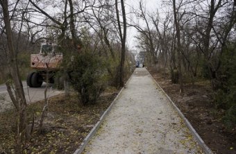 Вдоль Трассы здоровья восстанавливают пешеходную дорожку (фото)