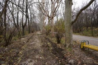 Вдоль Трассы здоровья восстанавливают пешеходную дорожку (фото)