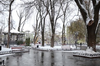 Первый снег