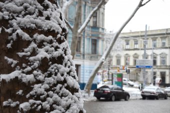 Первый снег