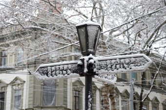 Первый снег