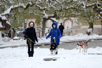 Первый снег
