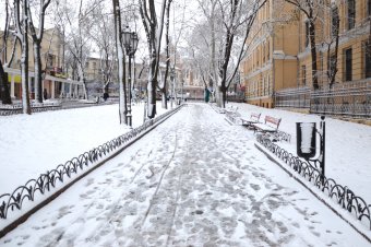 Первый снег