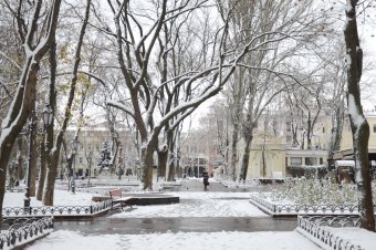 Первый снег