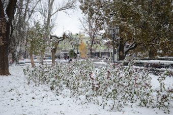 Первый снег