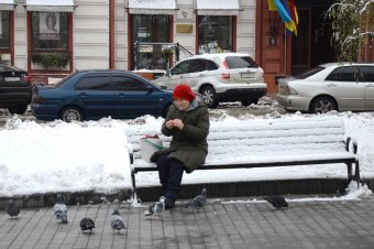 Первый снег