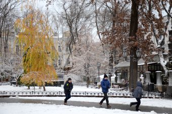Первый снег