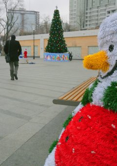 Одесса готовится к Новогодним праздникам (фото)