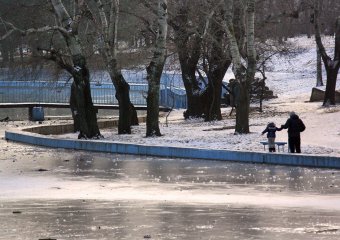 Озеро в парке Победы покрылось льдом (фото)