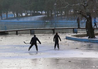 Озеро в парке Победы покрылось льдом (фото)